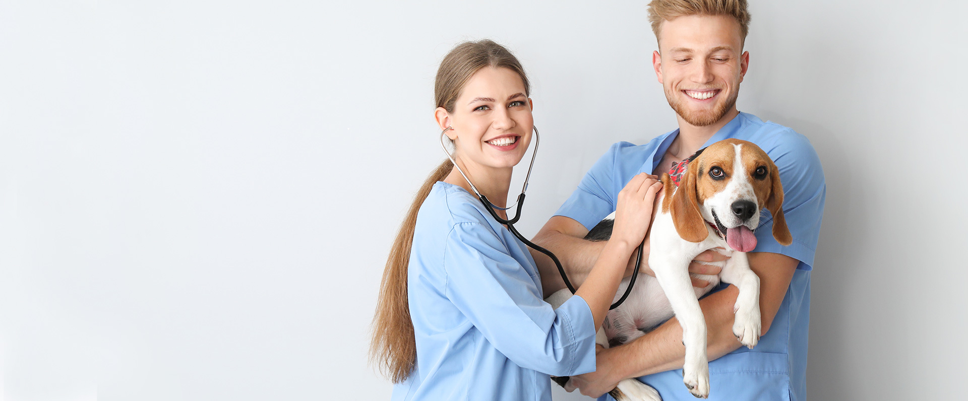 Tierarzt Plus Partner – Praktikantenprogramm